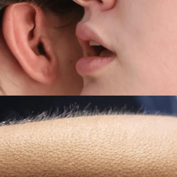 Close-up of a whisper causing goosebumps and heightened skin sensitivity