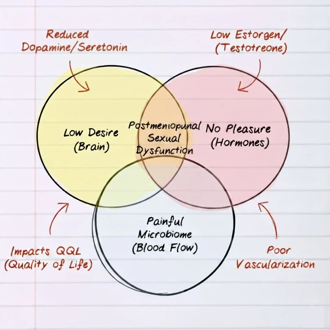 Three-circle notepad diagram showing desire, pleasure response, and blood flow as overlapping drivers of sexual function